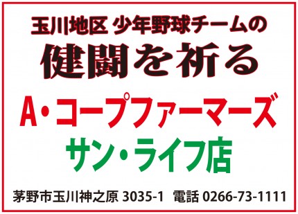 諏訪湖が見守る挑戦の舞台。2026年度 第44回諏訪湖少年少女野球選手権大会の試合結果ならびに、参加チームや各支部等のご案内をしております。「諏訪の甲子園」を舞台にチームの仲間たちと繰り広げる、子ども達の熱い戦いを順次ご紹介していきます。